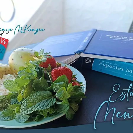Estudio Menta شقة تاكورونتي
